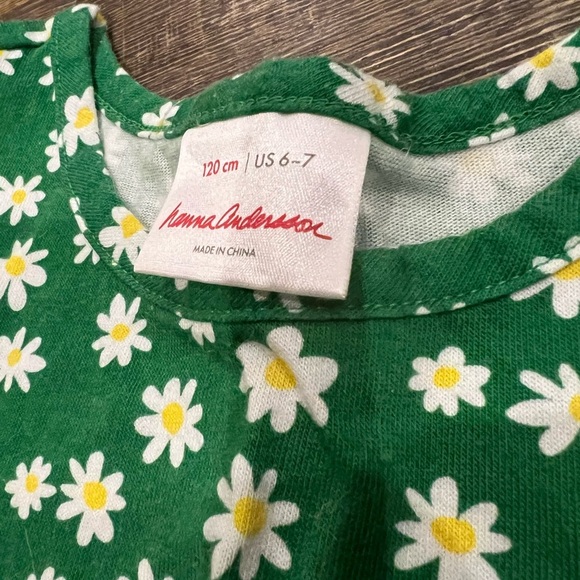 Hanna Andersson Daisy’s Tulle Dress - Picture 4 of 6